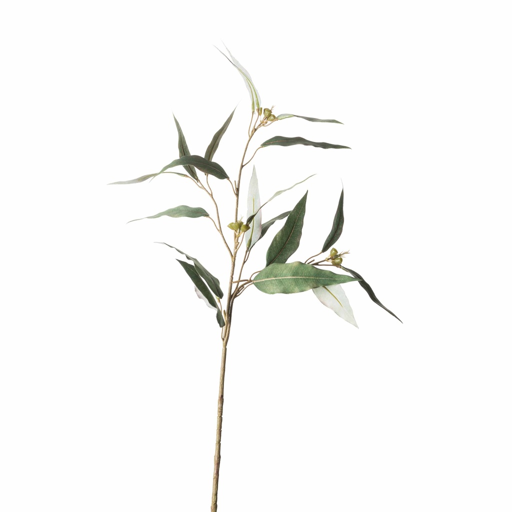 RAMA EUCALIPTO - 58 CMS