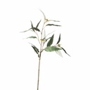 RAMA EUCALIPTO - 58 CMS